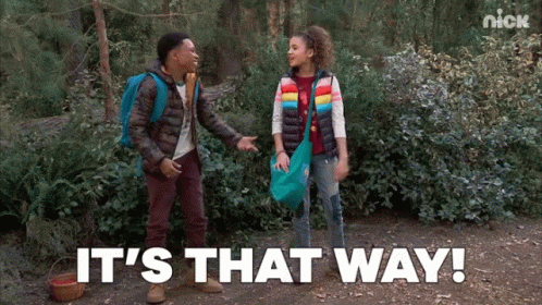 Gif about the right direction